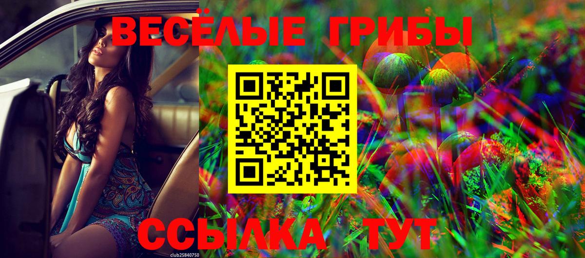 Аргун  Псилоцибиновые грибы ЛСД  купить  цена  Вход с VPN 